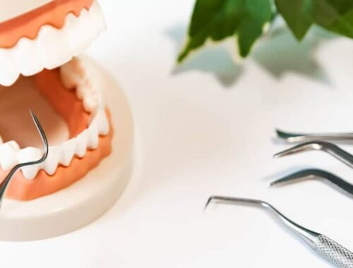 Dentadura de muestra y herramientas dentales